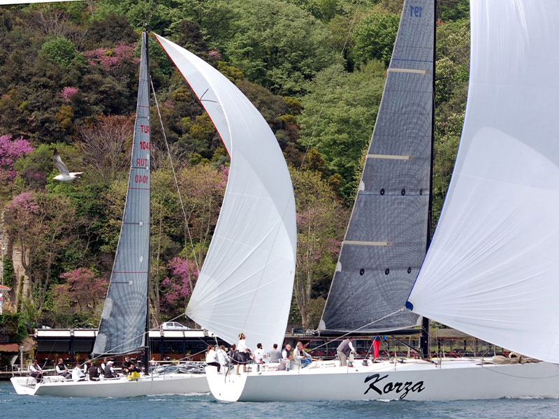 Bolt 37 2013-2014 – Valkyrie